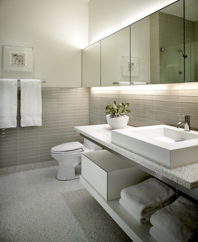 Kadlec modernist inspired lakefront residence guest bathroom